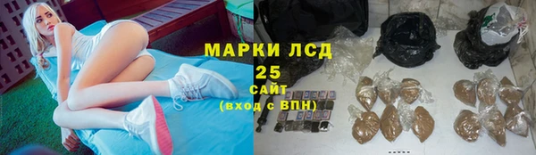 PSILOCYBIN Алексин