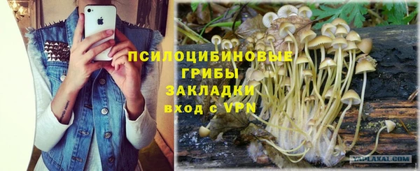 PSILOCYBIN Алексин