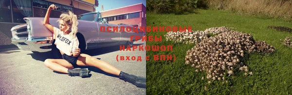 ECSTASY Алзамай