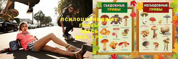 PSILOCYBIN Алексин