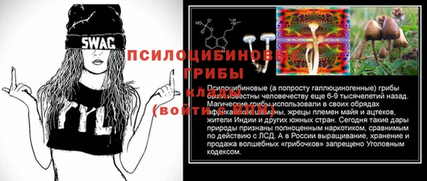 PSILOCYBIN Алексин